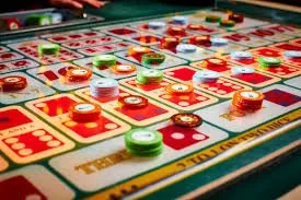 pakcasino Everything You Need to Know About Your Account
