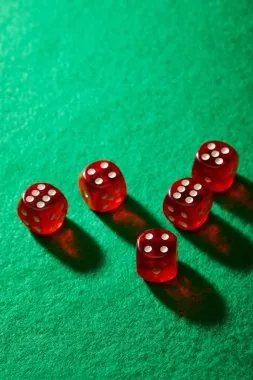 pakcasino Live Baccarat Bonanza